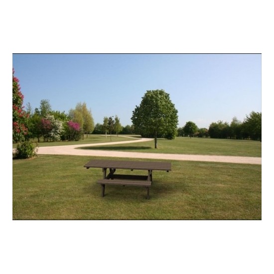 Table de pique nique PMR 2