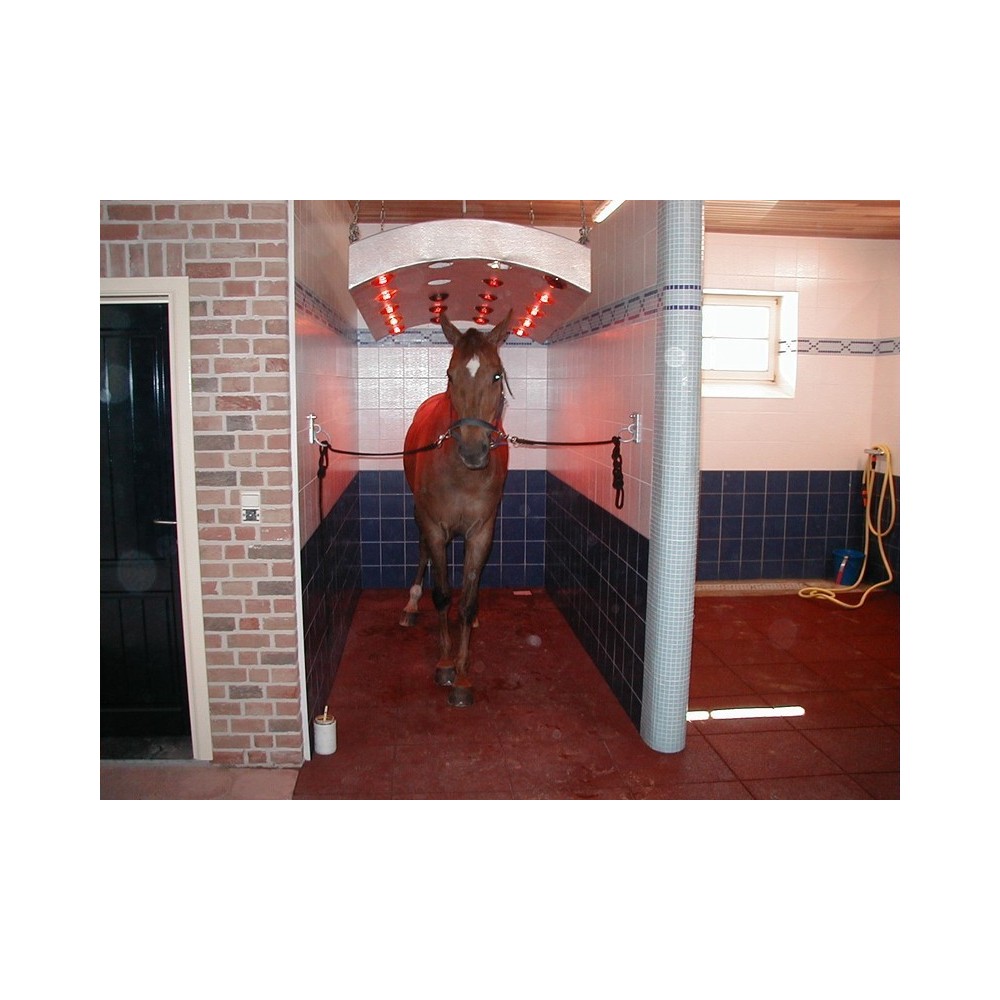 Dalle salles de douches