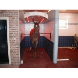 Dalle salles de douches